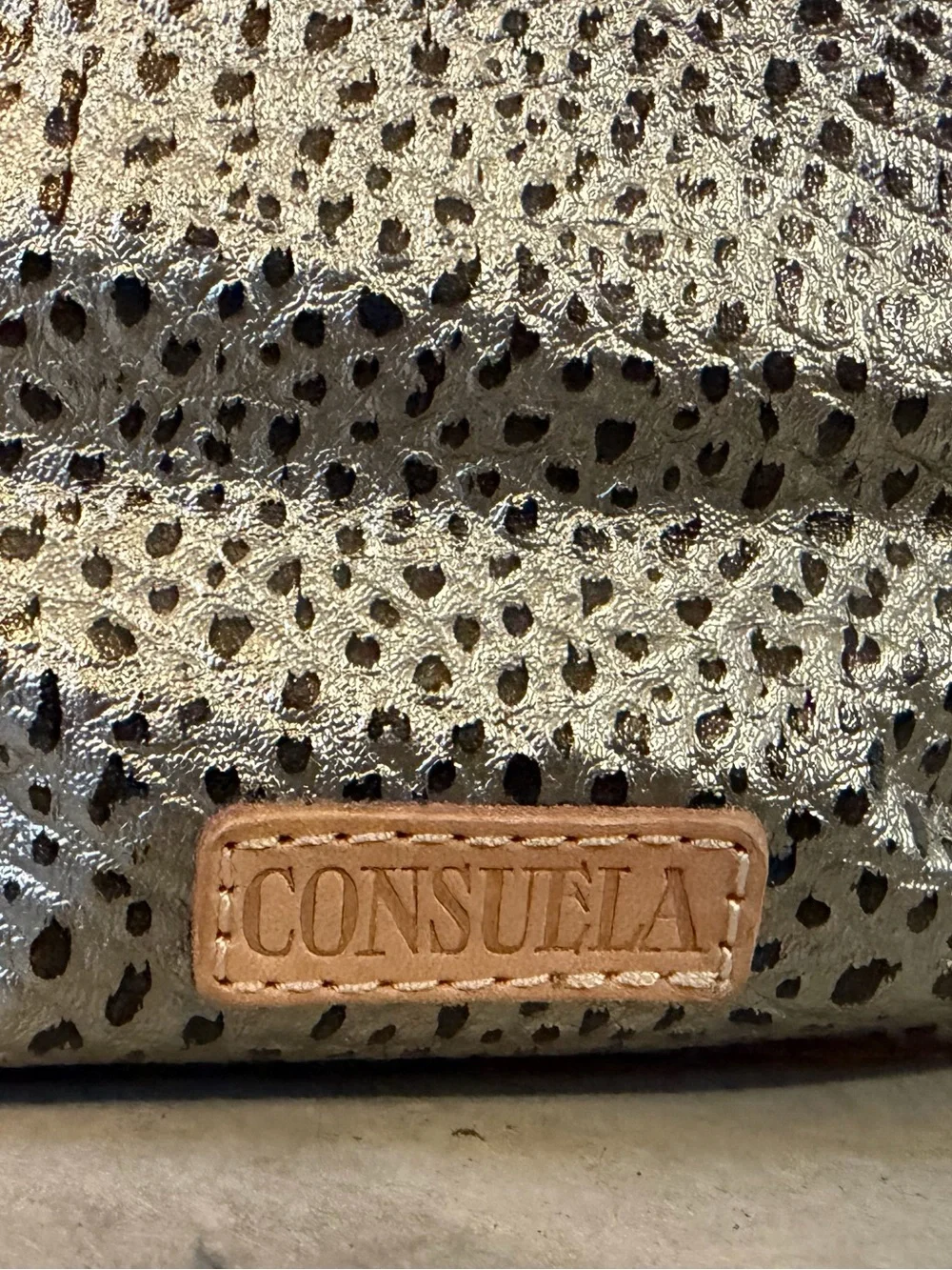 Consuela Silver Metallic Hobo with Tan Strap